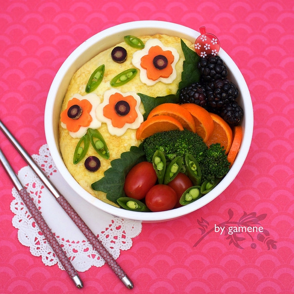 food-art-bento-gamene-photos-boites-dejeuner-animaux-10