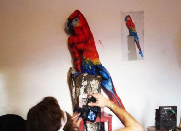 perroquet tropical femme peinture body painting johannes stotter 01 - Le Body Painter Johannes Stötter Transforme une Femme en Perroquet Tropical - Body Painting, Art Contemporain