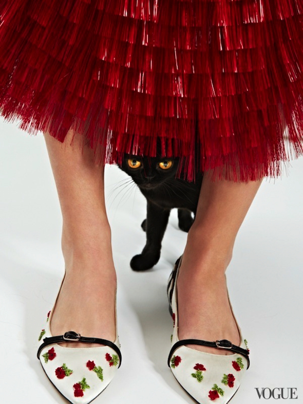 chats-chaussures-luxe-photographie-femme-vogue-01
