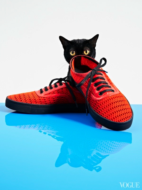 chats-chaussures-luxe-photographie-femme-vogue-04