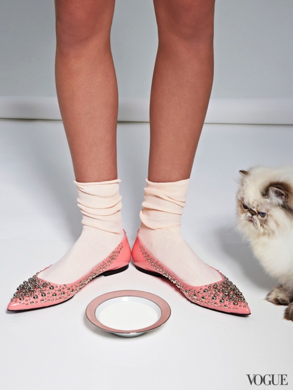 chats-chaussures-luxe-photographie-femme-vogue-06
