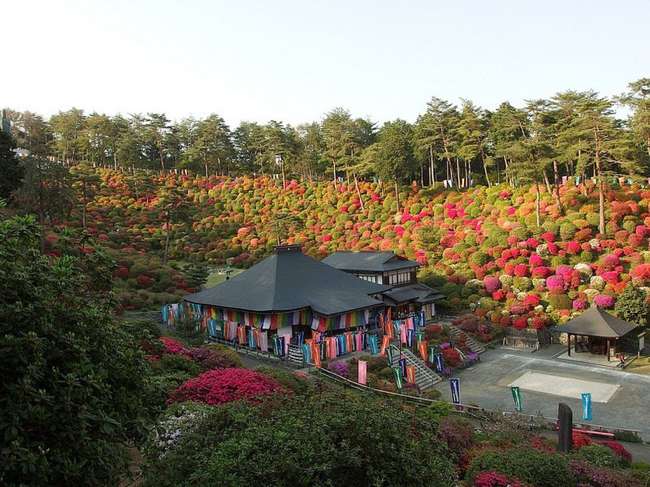 shiofune-kannon-ji-ome-japon-foret-azalees-05