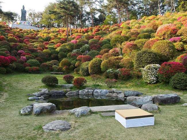 shiofune-kannon-ji-ome-japon-foret-azalees-08