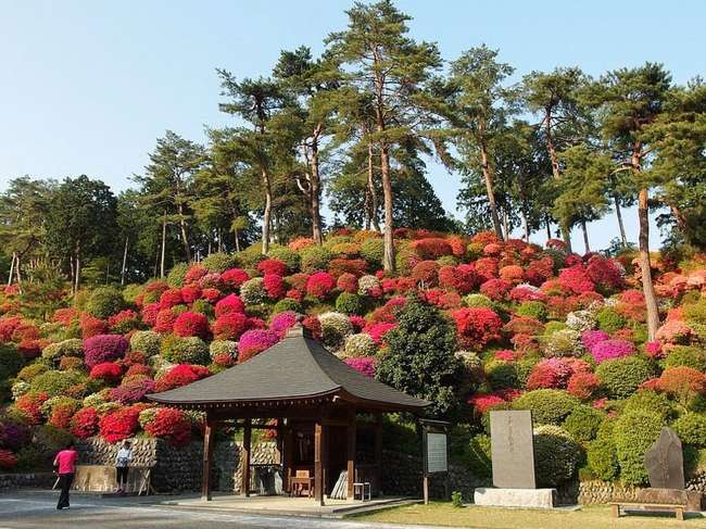 shiofune-kannon-ji-ome-japon-foret-azalees-10