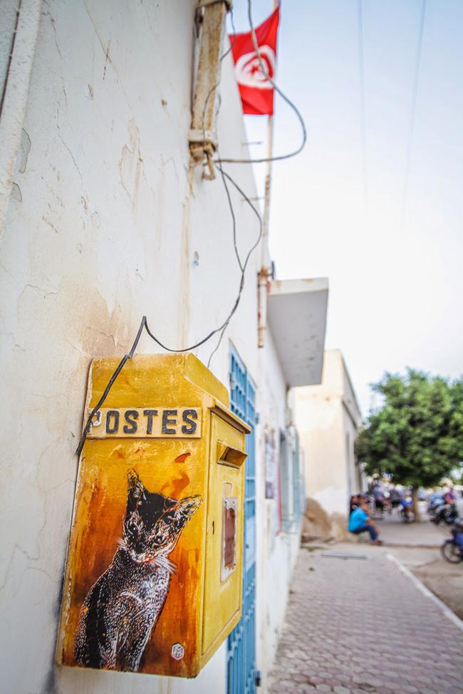 Chat-Street-Art-Djerba-Tunisie-C215-01