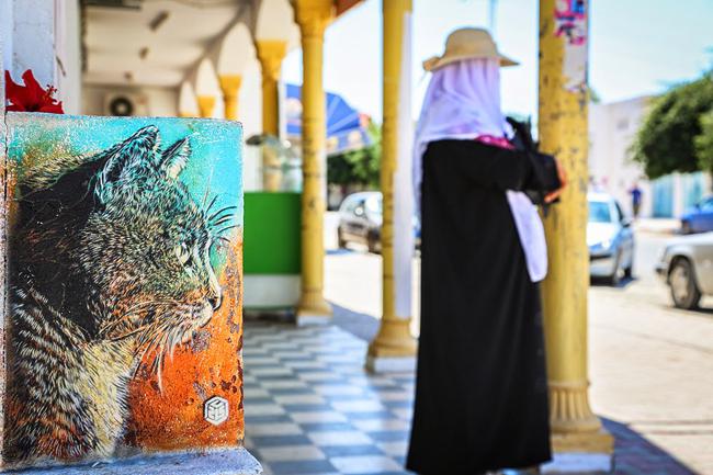 Chat-Street-Art-Djerba-Tunisie-C215-03
