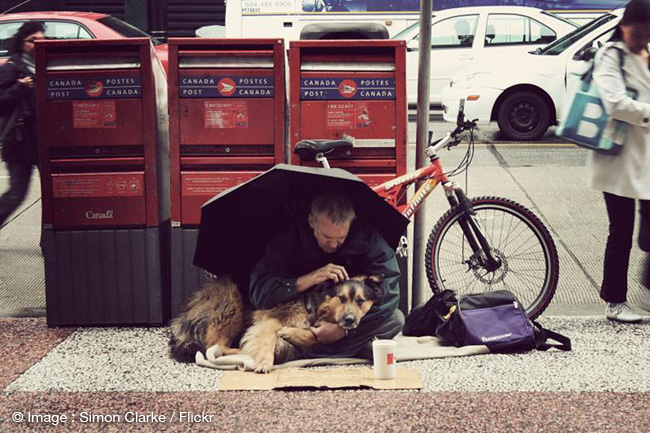 chiens-sdf-sans-abrits-ami-homme-2