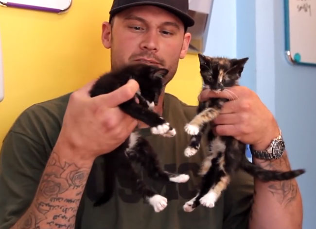 homme-chat-recontre-peur-phobie-2