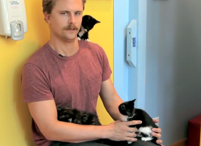homme-chat-recontre-peur-phobie-3