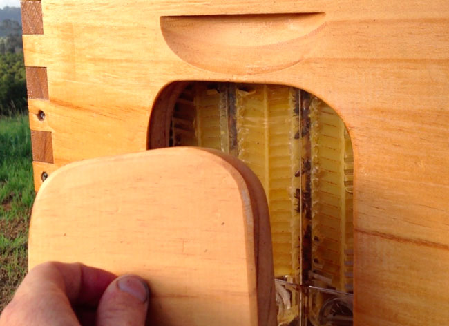 flow-hive-stuart-cedar-anderson-abeille-ruche-automatique-5