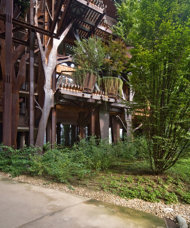 luciano-pia-25-verde-maison-eco-arbres-1