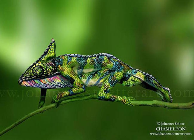johannes-stotter-cameleon-body-painting