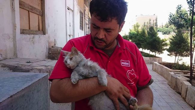 syrie-chats-alep-cat-man-1
