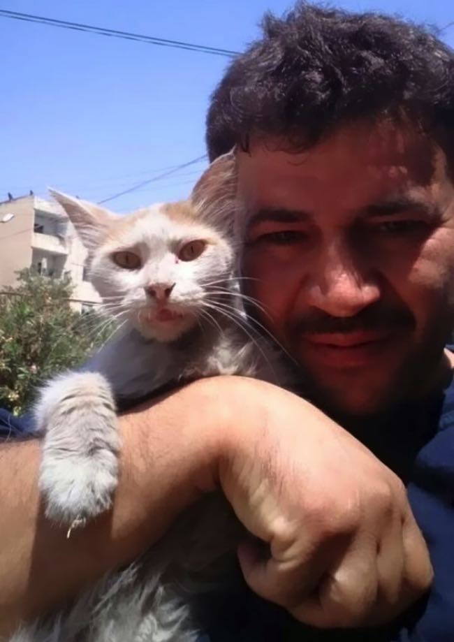 syrie-chats-alep-cat-man-4