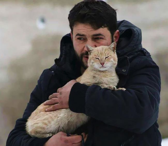 syrie-chats-alep-cat-man-6