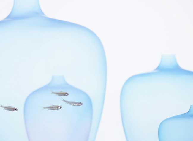 meduse vase nendo jellyfish