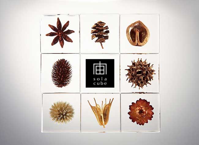 Sola Cubes Nature Acrylique
