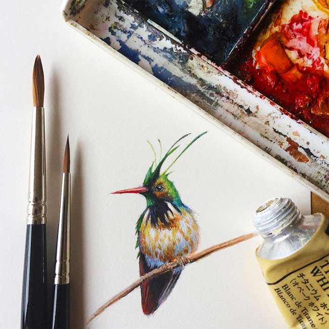 Peintures Oiseaux Miniatures Dina Brodsky