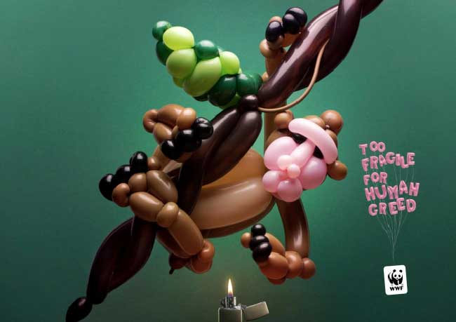 WWF Animaux Ballons Campagne