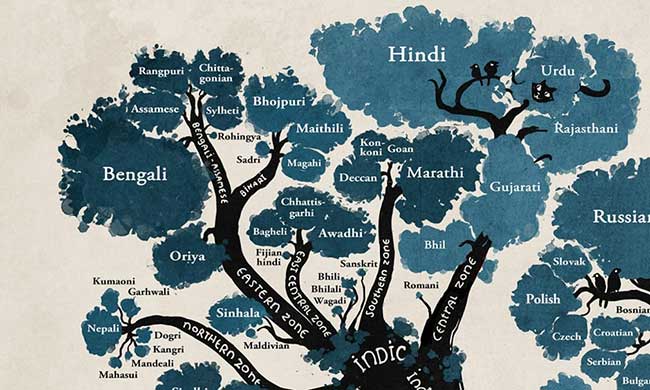 arbre langues illustration minna sundberg