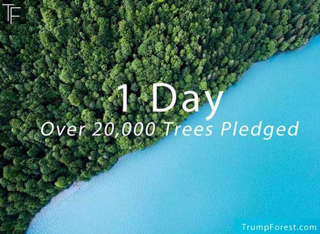 trump forest planter arbres