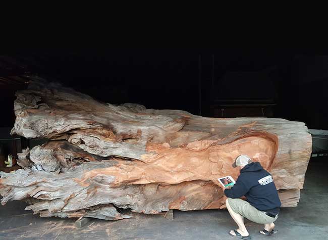 pieuvre sculpture tronconneuse bois jms