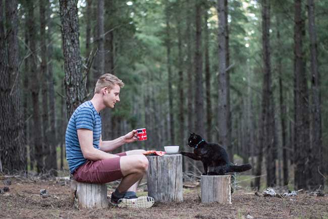 chat aventurier australie van richard east