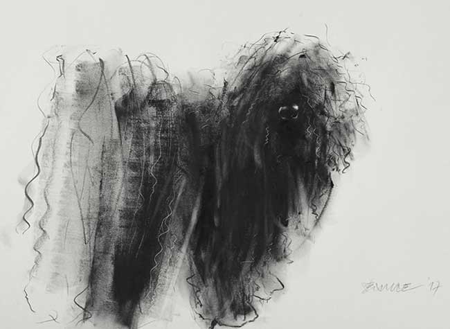 portraits chiens-dessins gribouillis encre crayon