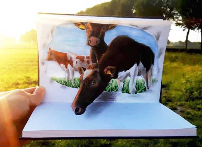 illustrations anamorphose ramon bruin 3d
