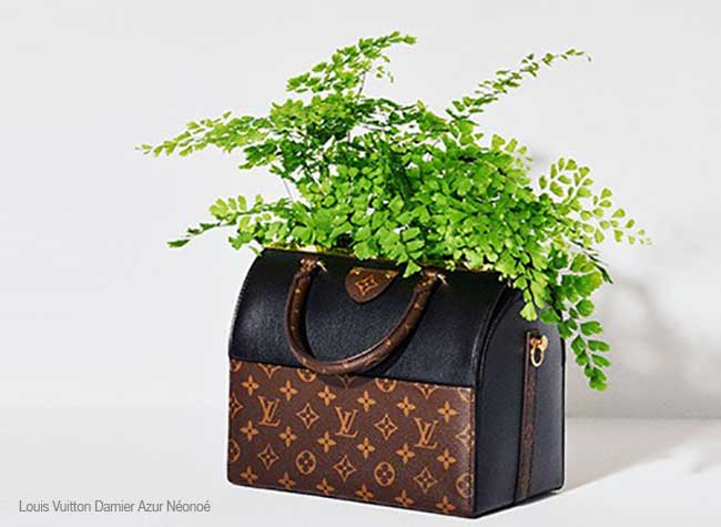 sacs luxe jardiniere detournes plantes fleurs