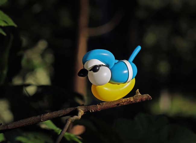 sculptures ballons oiseaux t james cook