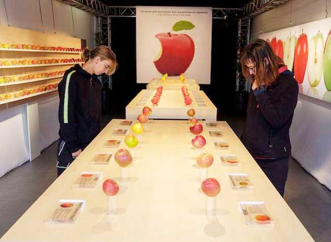 Un Apple Store avec de Vraies Pomme Y a que ca de Vrai