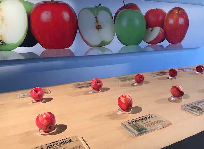 Un Apple Store avec de Vraies Pomme Y a que ca de Vrai