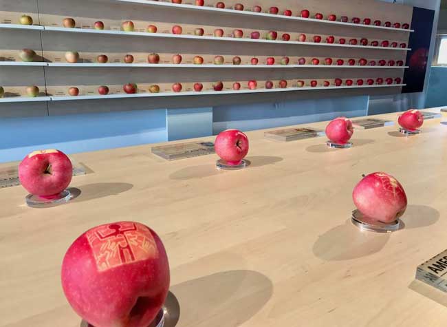 Un Apple Store avec de Vraies Pomme Y a que ca de Vrai