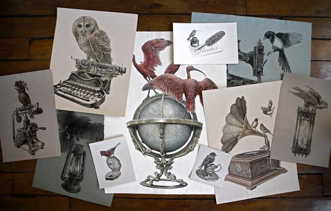 oiseaux-perches-dessins art steeven-salvat