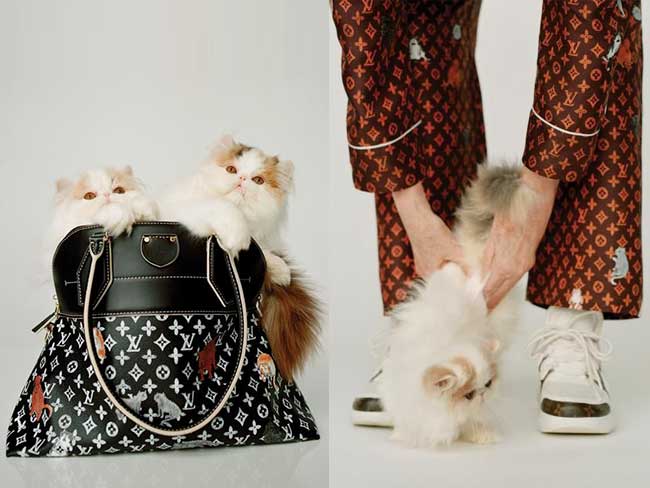 louis vuitton catogram collection capsule grace goddington