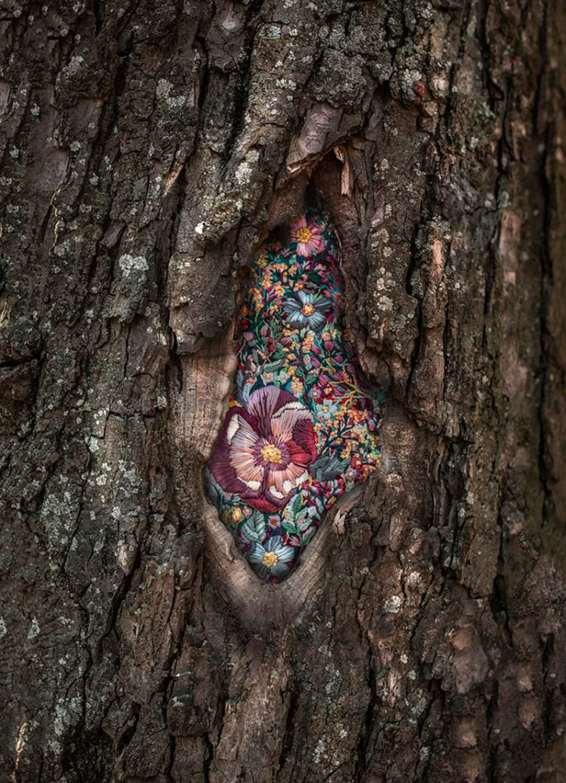 broderies arbres diana yevtukh 06 - Broderies sur les Cicatrices des Arbres par Diana Yevtukh - Nature, Broderie, Art
