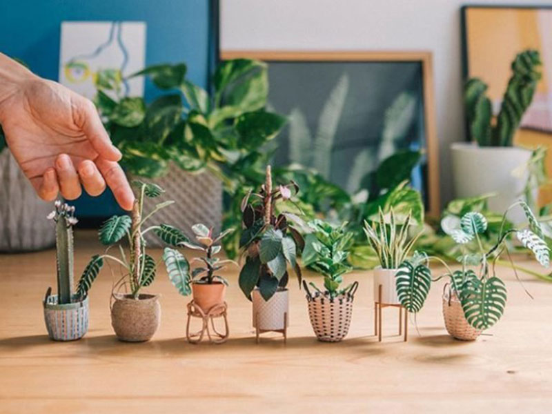 plantes miniatures art papier raya sader bujana 01 - Raya Sader Bujana Sculpte de Mini Plantes en Papier - Sculptures, Papier, Miniatures, Handmade, Etsy, Artisanat, Art