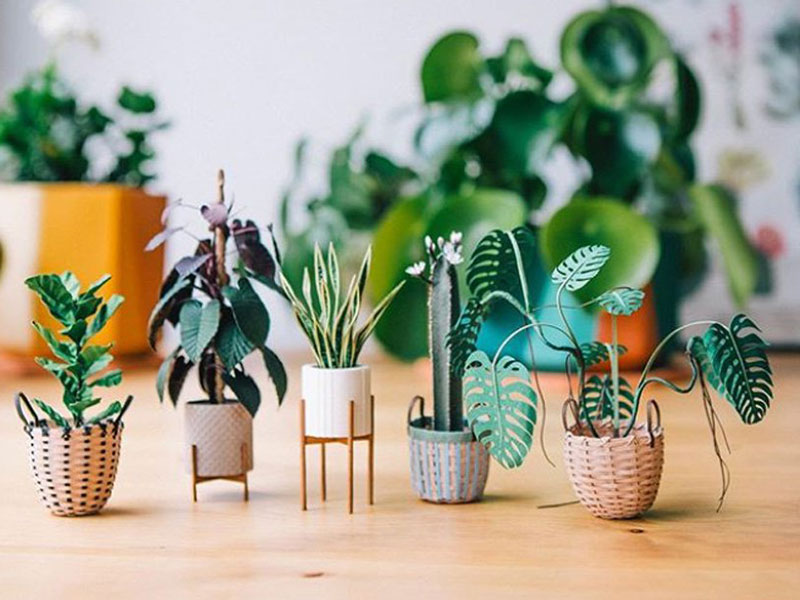 plantes miniatures art papier raya sader bujana 03 - Raya Sader Bujana Sculpte de Mini Plantes en Papier - Sculptures, Papier, Miniatures, Handmade, Etsy, Artisanat, Art