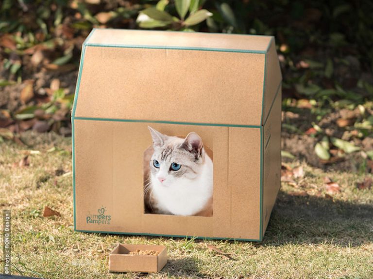 RONG Design P Box Cartons D Emballage Transformables MaxiTendance rong-design-p-box-cartons-d-emballage-transformables-maxitendance