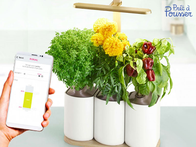 Mini Jardiniere Nano Garden Pret-à-pousser Kicksterter