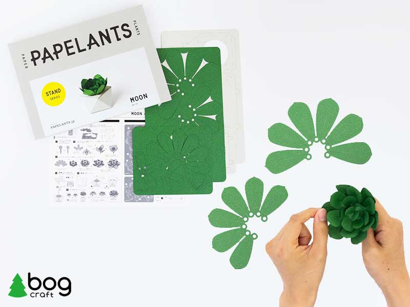 papelants Fabriquer plantes papier origami