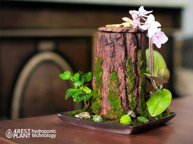 Tronc arbre pot de fleurs