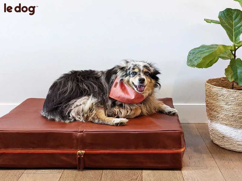 Le Dog Matelas Cuir