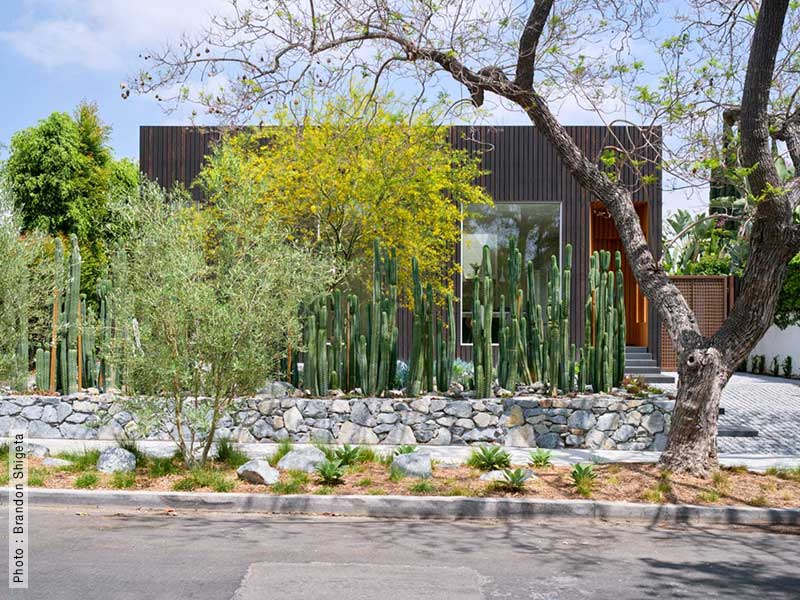 Palissade Jardin
