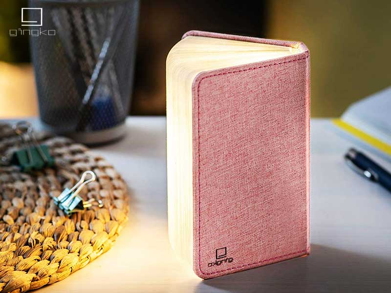Gingko Smart Book