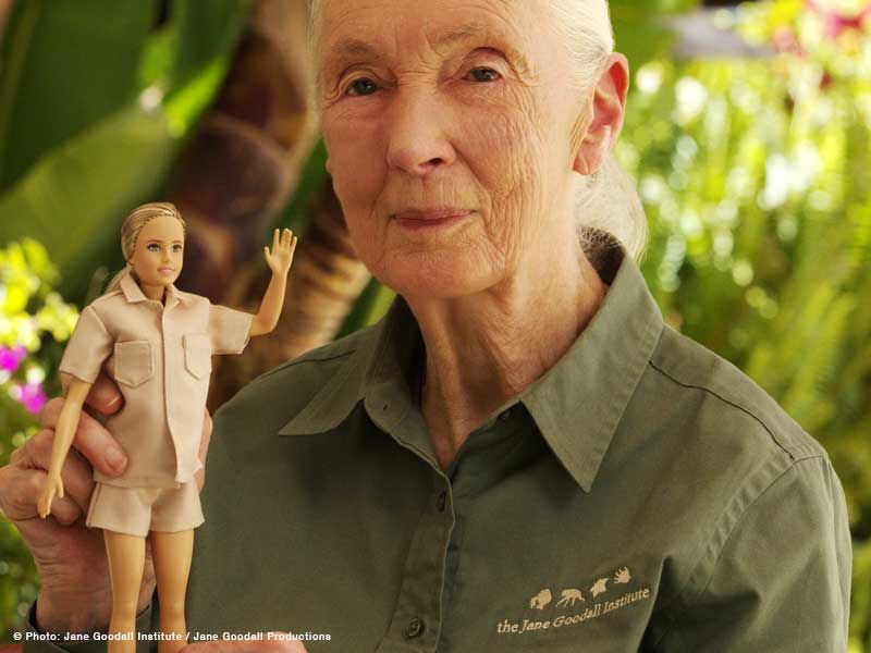 Jane Goodall poupée