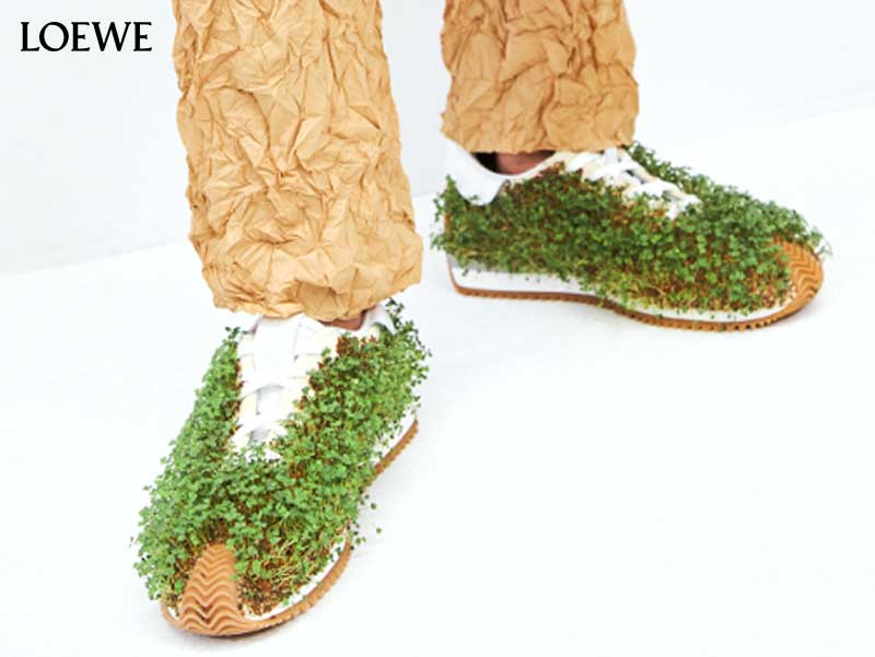 LOEWE Grass Sneakers