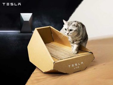 Tesla Chat CyberTruck