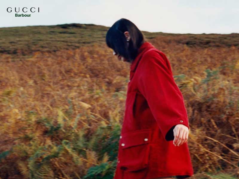 Barbour Gucci Continuum